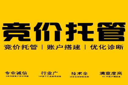 SEM推广公司案例分享：电商品牌崛起之路